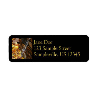 Fall Leaves in Waterfall III Autumn Nature Label