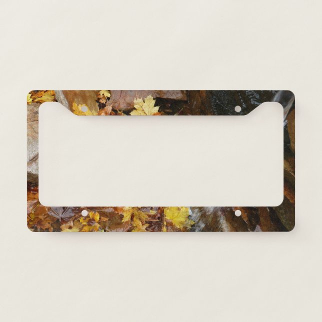 Fall Leaves in Waterfall III Autumn Nature License Plate Frame (Front)