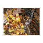 Fall Leaves in Waterfall III Autumn Nature Postcard