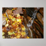 Fall Leaves in Waterfall III Autumn Nature Poster