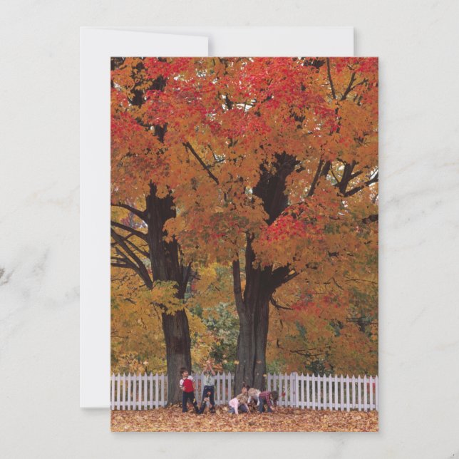 Fall Leaves Invitation (Front)