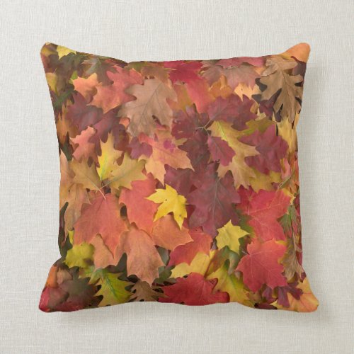 Fall Leaves Mixed Colors Pillow