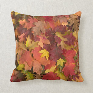 fall color decorative pillows