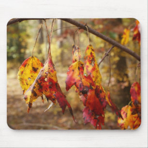 Fall Leaves Mouse Pad