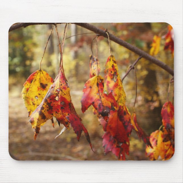 Fall Leaves Mouse Pad (Front)