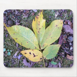 Fall Leaves Mousepad