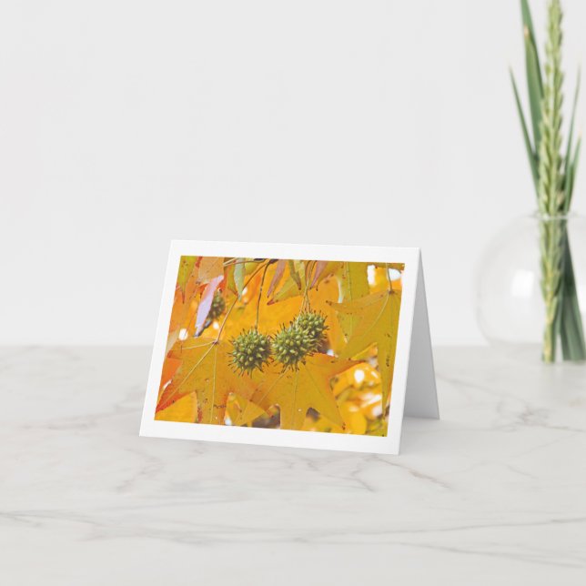 "FALL LEAVES" NOTECARD (PHTOG) (Front)