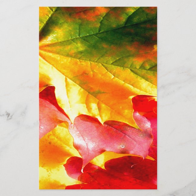 Fall Leaves Personalize it Yellow, Red, Green, Stationery (Front)