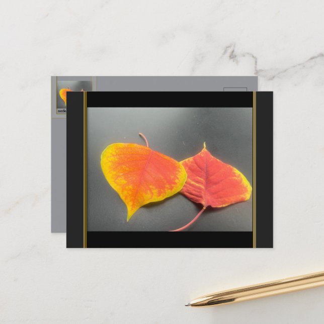Fall Leaves Postcard (Front/Back In Situ)