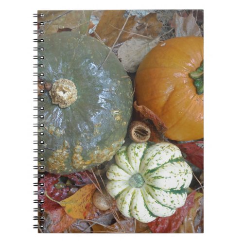 Fall leaves Pumpkins and Gourds Notebook