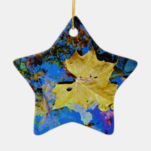 Fall leaves  reflection ceramic ornament