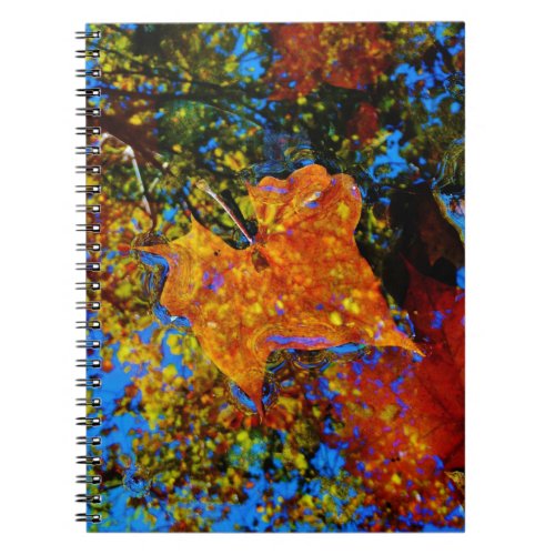 Fall leaves  reflection Fall leaf with Rocks in m Notebook