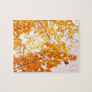 Fall Leaves Reflection Jigsaw Puzzle