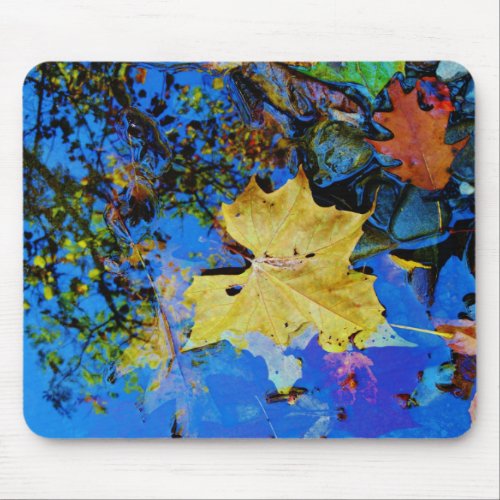 Fall leaves  reflection mouse pad