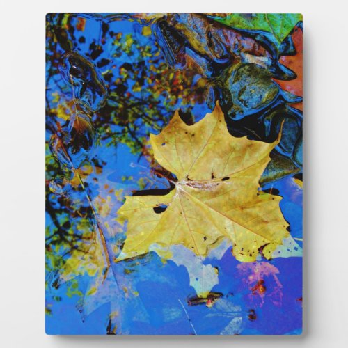 Fall leaves  reflection plaque