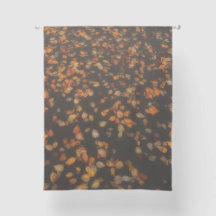 fall leaves