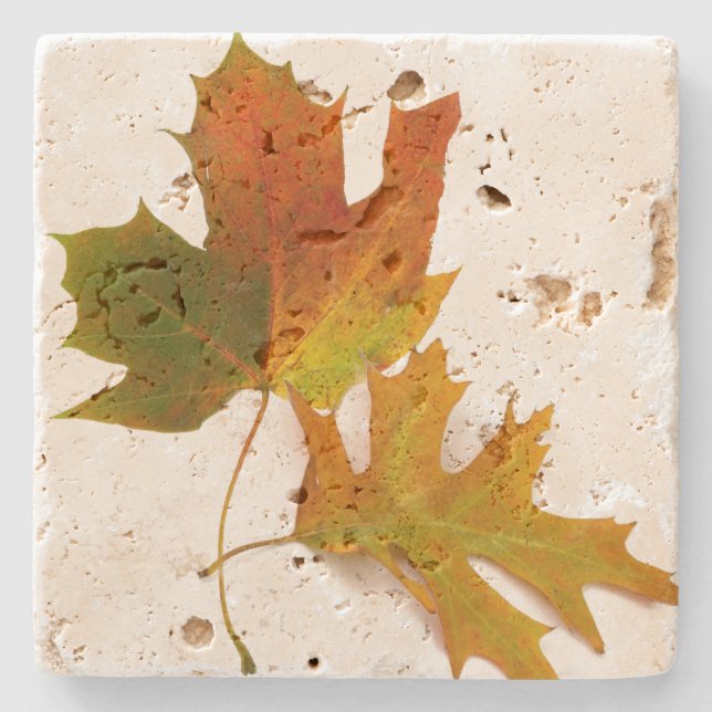 Fall Leaves Stone Coaster (Front)