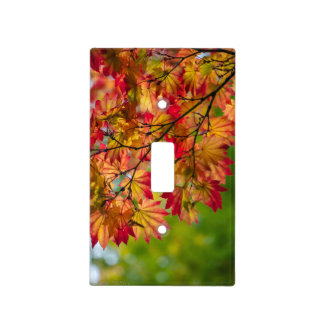 Fall Leaves Switch Plate Cover