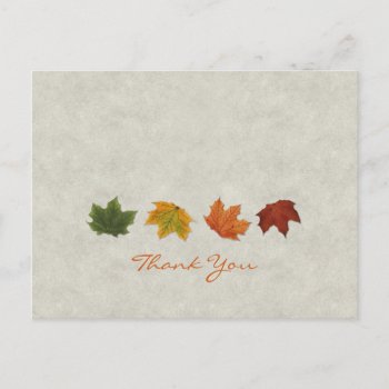 Fall Leaves Thank You Postcard by artladymanor at Zazzle