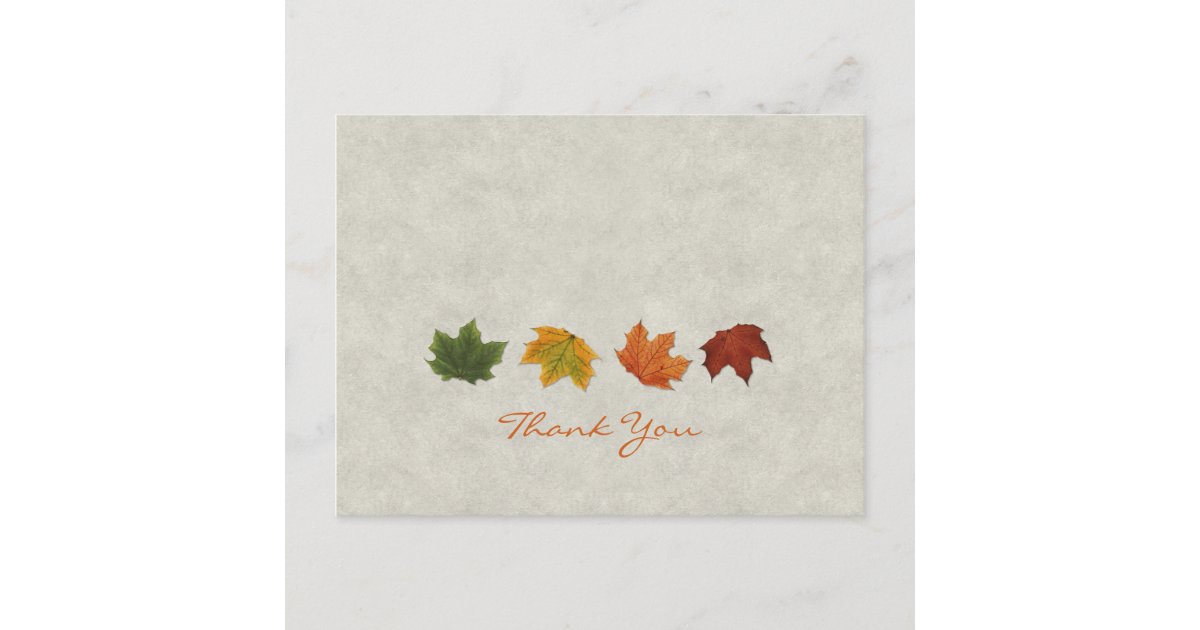 Fall Leaves Thank You postcard | Zazzle