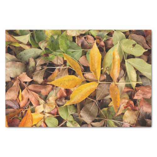 Fall Leaves Tissue Paper
