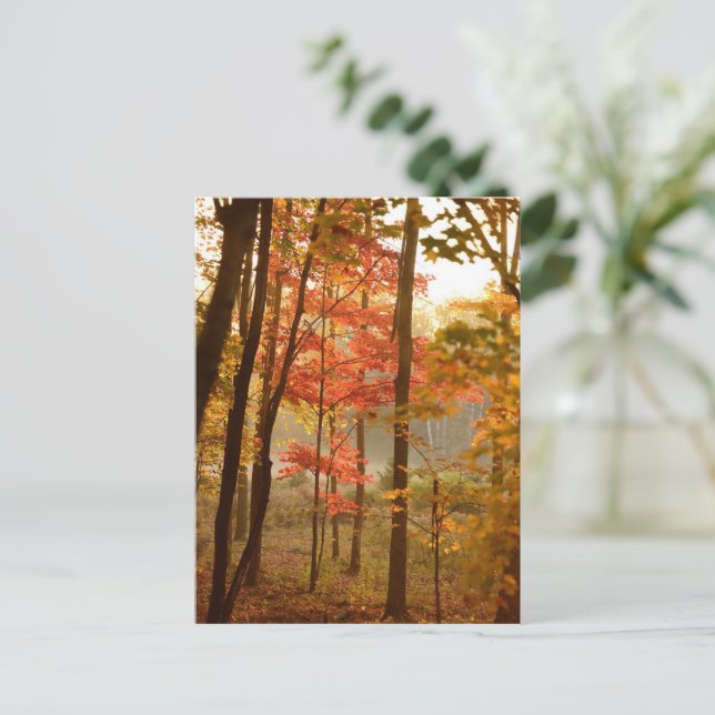 Fall Leaves Trees Holiday Postcard (Standing Front)