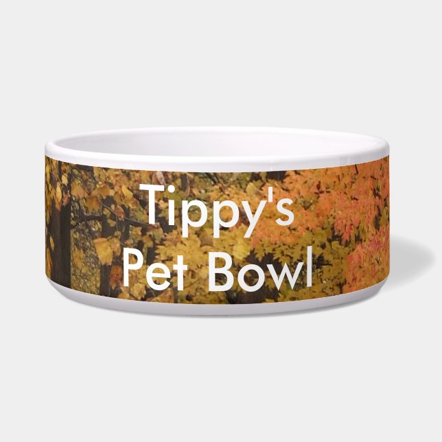 Fall Leaves Tulip Poplar Trees Pet Name Bowl (Front)