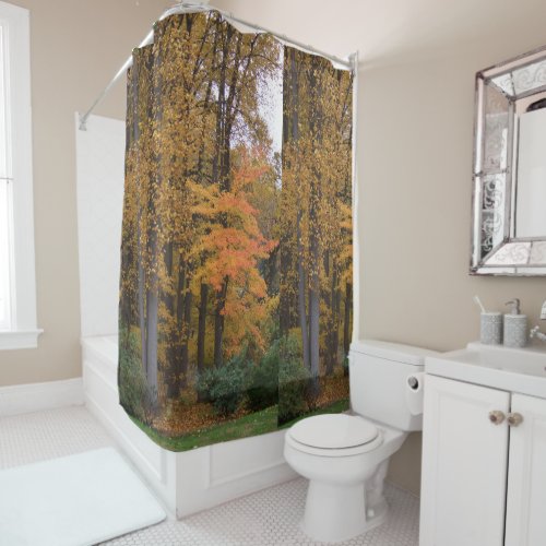 Fall Leaves Tulip Poplar Trees Shower Curtain