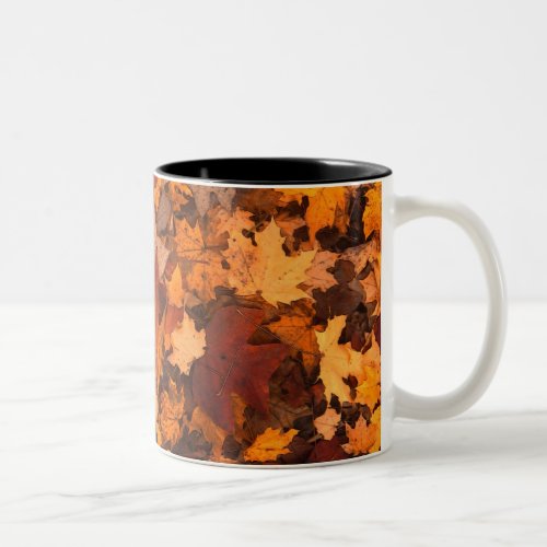 Fall Leaves Two_Tone Coffee Mug