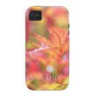 Fall Leaves with rain drops