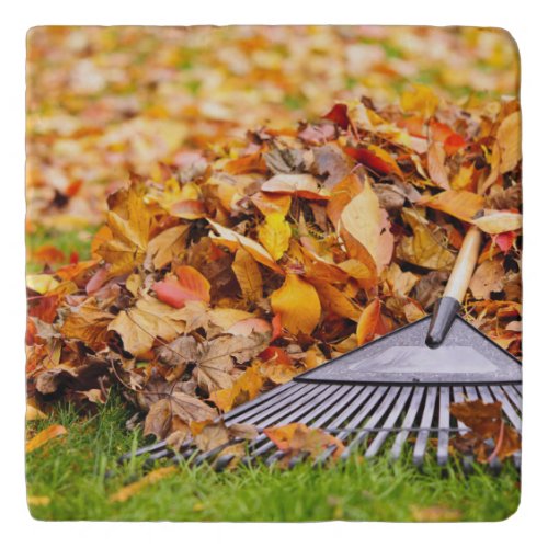 Fall Leaves With Rake Trivet