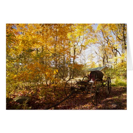 Fall Leaves with wagon Cards (Front Horizontal)