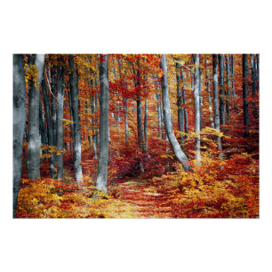 Fall Leaves Woods Autumn Forest Wedding Poster