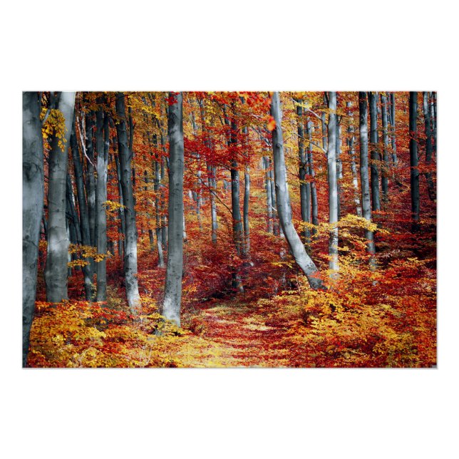 Fall Leaves Woods Autumn Forest Wedding Poster (Front)