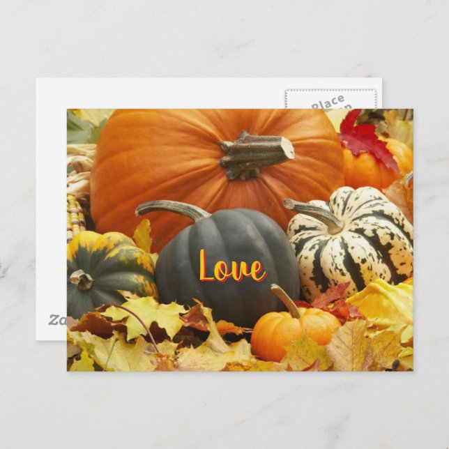 Fall Love Autumn Photo Leaves Pumpkins Postcard (Front/Back)