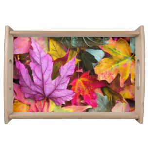 Fall maple leaf colorful autumn nature photo serving tray