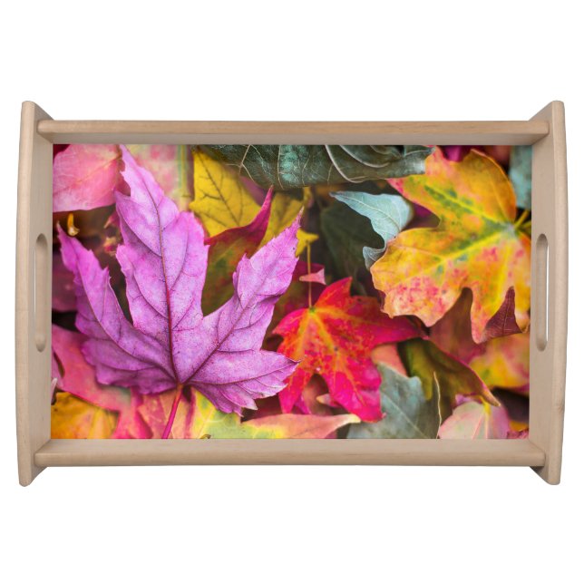 Fall maple leaf colorful autumn nature photo serving tray (Front)