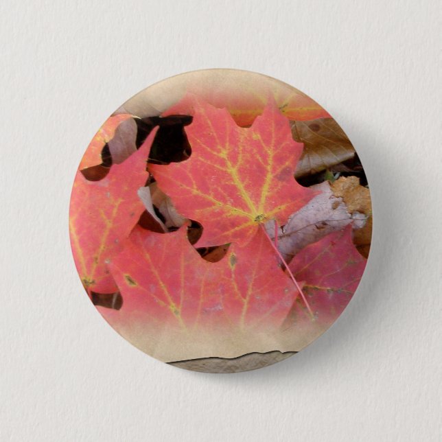Fall Maple Leaves Coordinating Items Button (Front)