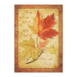 Fall
