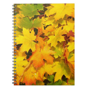Fall Maple Leaves with Autumn Colors Notebook