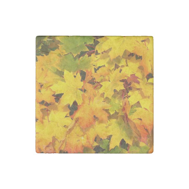 Fall Maple Leaves with Autumn Colors Stone Magnet (Front)