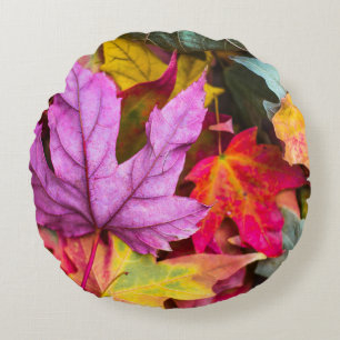 Fall maple tree leaf colorful autumn purple orange round pillow