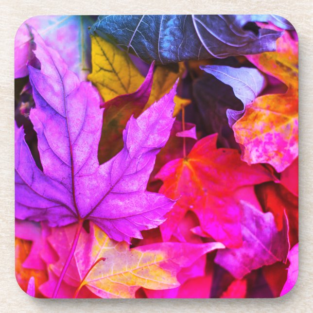 Fall maple tree leaves colorful autumn nature beverage coaster (Front)