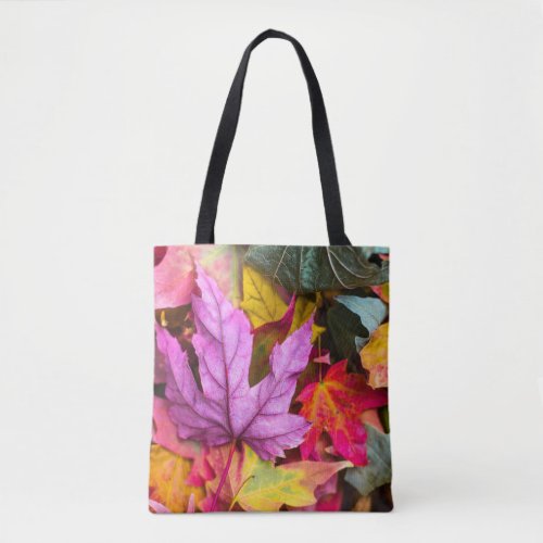 Fall maple tree leaves colorful autumn nature tote bag