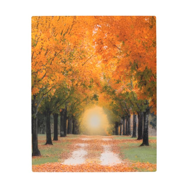 Fall Maple Tree Metal Wall Art 16x20 – Vibrant Aut (Front)