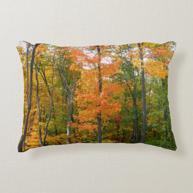 Fall Maple Trees Autumn Nature Photography Accent Pillow (Front)