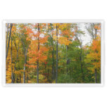Fall Maple Trees Autumn Nature Photography Acrylic Tray