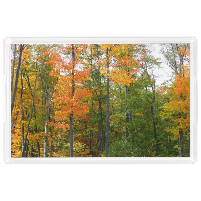 Fall Maple Trees Autumn Nature Photography Acrylic Tray (Front)