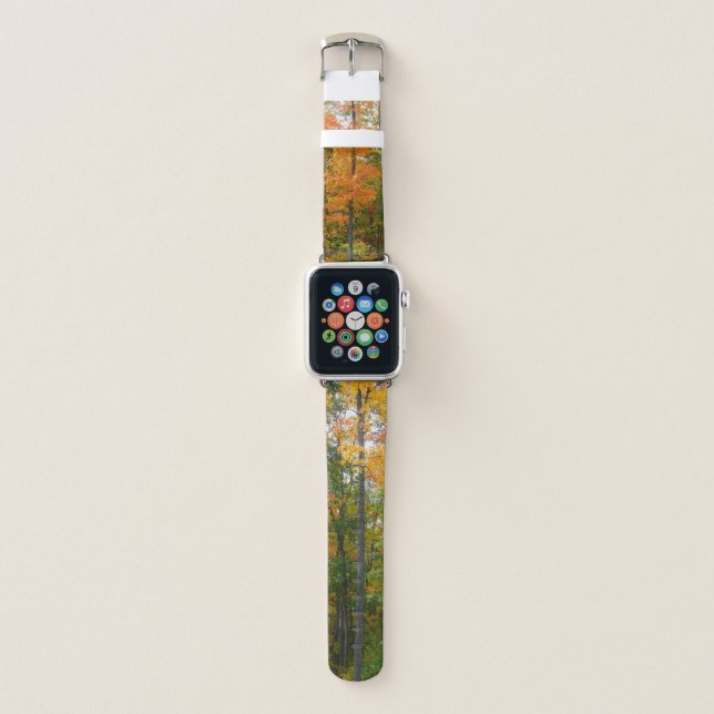 Fall Maple Trees Autumn Nature Photography Apple Watch Band (Front)