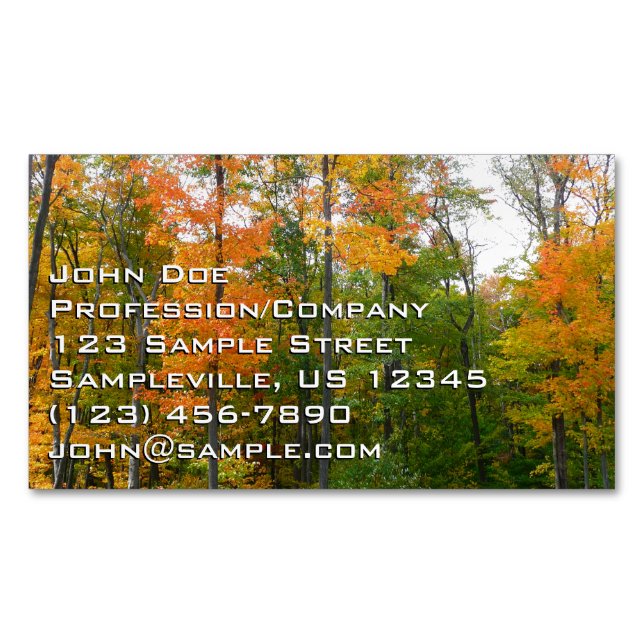Fall Maple Trees Autumn Nature Photography Business Card Magnet (Front)